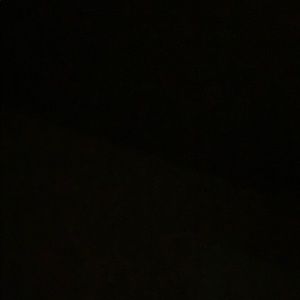 Meet your Posher, Joey